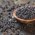 semente de mostarda grão mostardeira