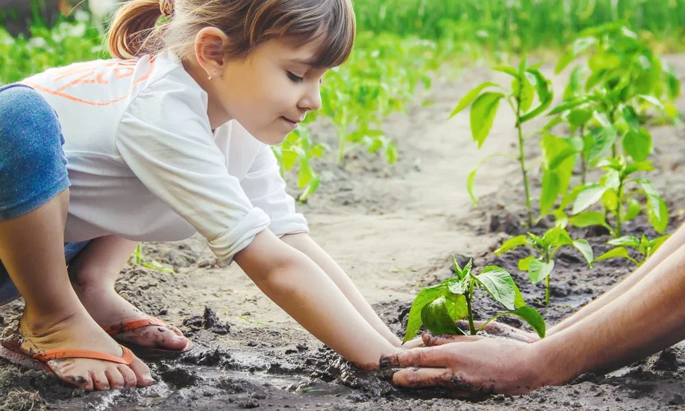 Envolver a criança no processo da plantação estimula alimentação saudável que muitas vezes não é bem recebida por elas Crédito: Portal Vamos comer melhor