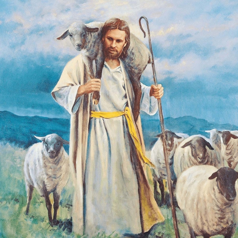 "Eu sou o bom pastor. O bom pastor dá a vida pelas ovelhas." - João 10:11