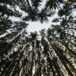 Nas palavras de Jesus, o céu, o paraíso, é a vida eterna com Ele.