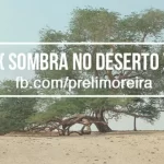 sombra-no-deserto-eli-moreira