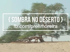 sombra-no-deserto-eli-moreira
