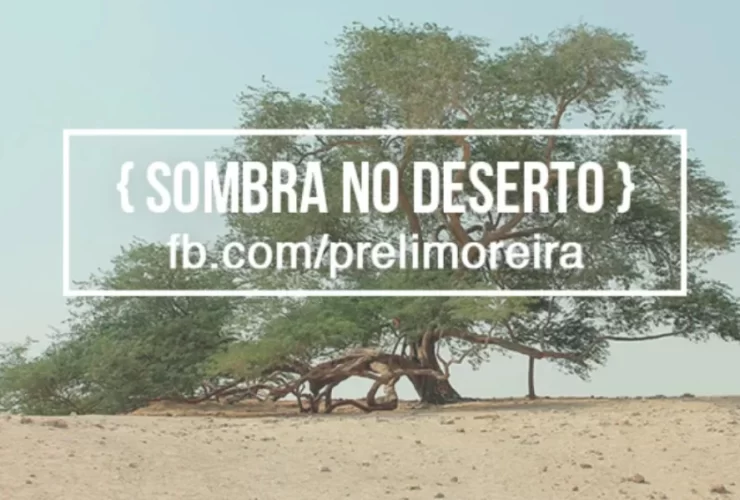 sombra-no-deserto-eli-moreira