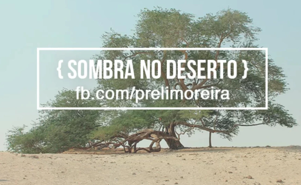 sombra-no-deserto-eli-moreira