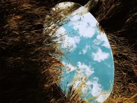 Espelho-Eli-Moreira (1)