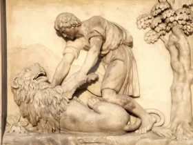 redenção-redencao.co-_3_ (2) (1)