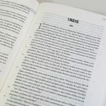 biblia_a_mensagem_eugene_peterson_por-dentro