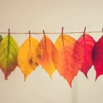 Por que alguns nomes mudaram na Bíblia