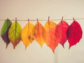 Por que alguns nomes mudaram na Bíblia