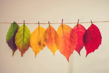 Por que alguns nomes mudaram na Bíblia