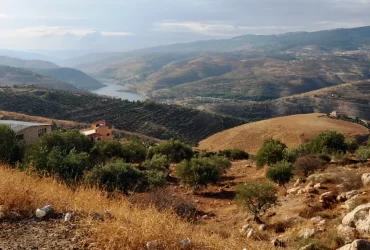 A terra de Gileade e sua importância bíblica